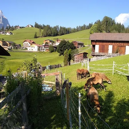 Haus Belodei - A